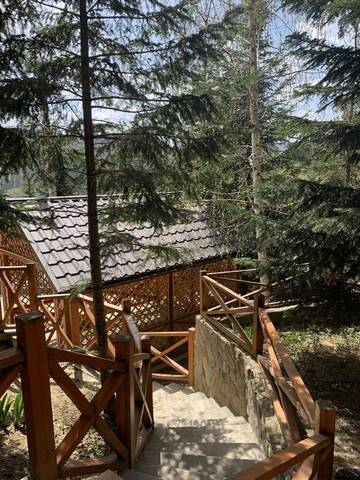 Фотографии Дома для отпуска Forest House г. Мигово (Украина) №5 Фото Дома для отпуска Forest House г. Мигово 5