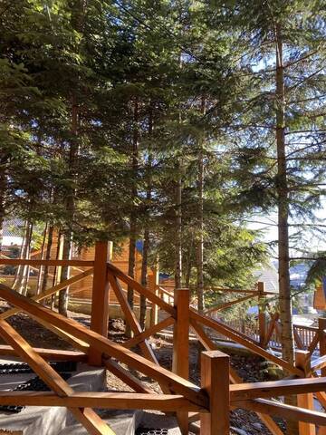 Фотографии Дома для отпуска Forest House г. Мигово (Украина) №2 Фото Дома для отпуска Forest House г. Мигово 2