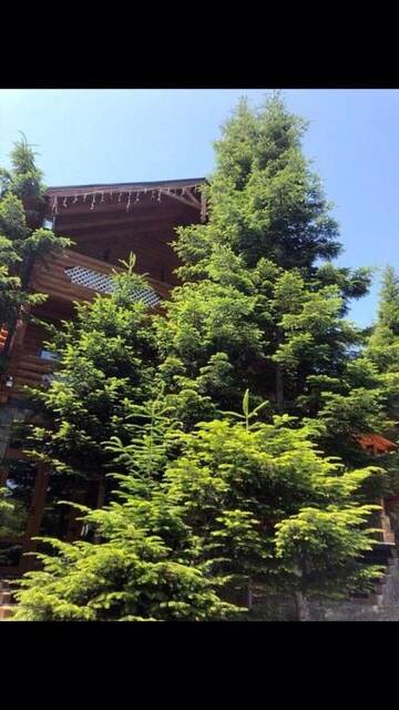Фото номера Вилла Виллы VIP HOUSES Карпати Мигово г. Мигово 49