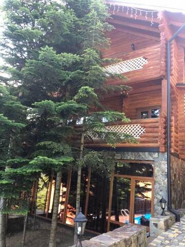 Фото номера Вилла Виллы VIP HOUSES Карпати Мигово г. Мигово 70