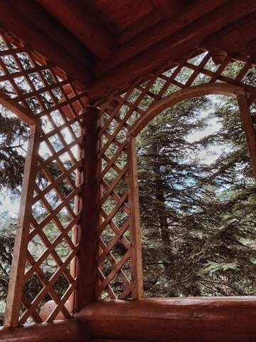 Фото номера Дом с 4 спальнями Дома для отпуска Forest House г. Мигово 63