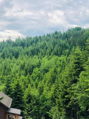 Фото номера Дом с 4 спальнями Дома для отпуска Forest House г. Мигово 70