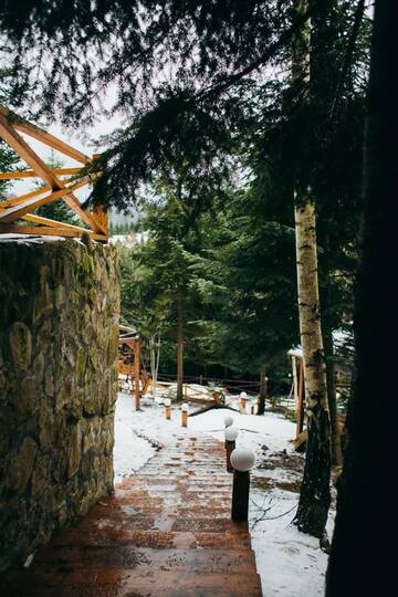 Фото номера Дом с 4 спальнями Дома для отпуска Forest House г. Мигово 32